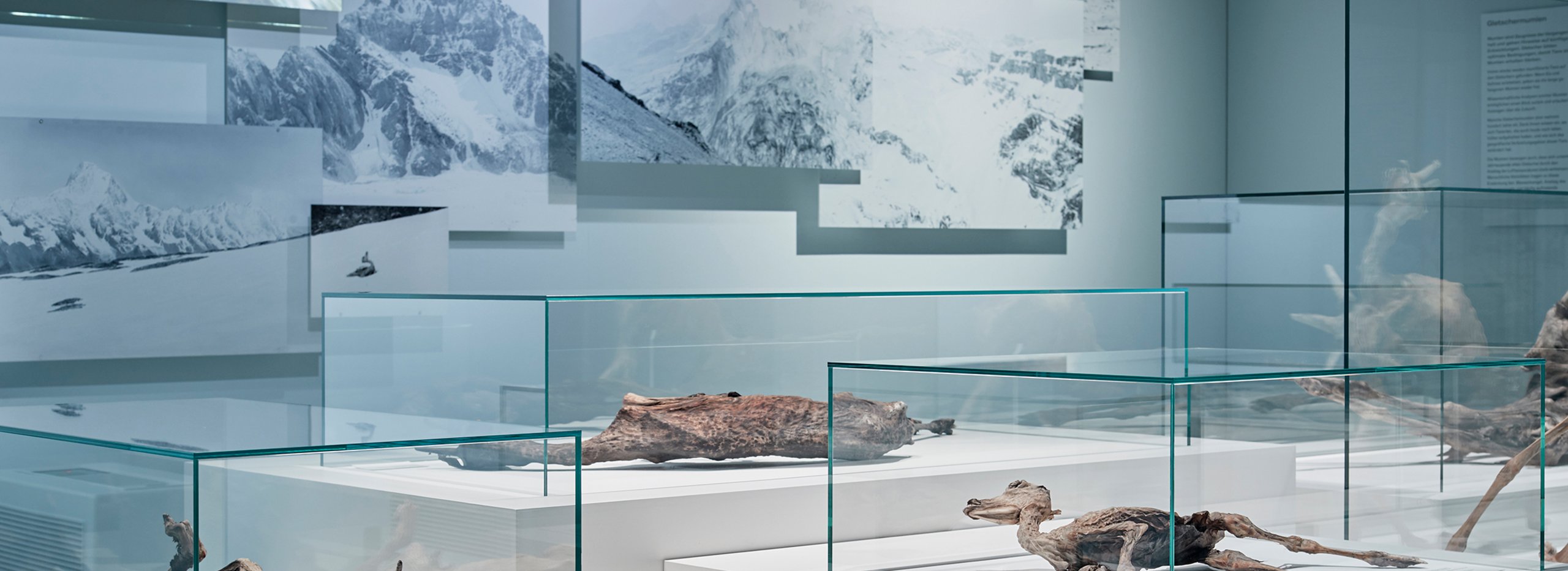Vitrinen für hochempfindliche Exponate, Mumienausstellung NHM Basel | © Mark Niedermann Photography