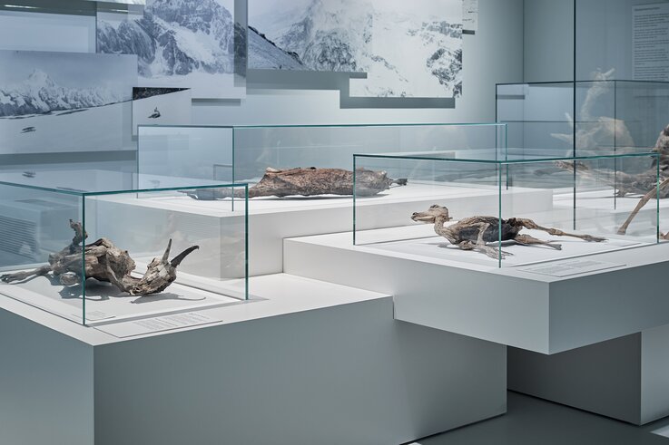 Vitrinen für hochempfindliche Exponate, Mumienausstellung NHM Basel | © Mark Niedermann Photography