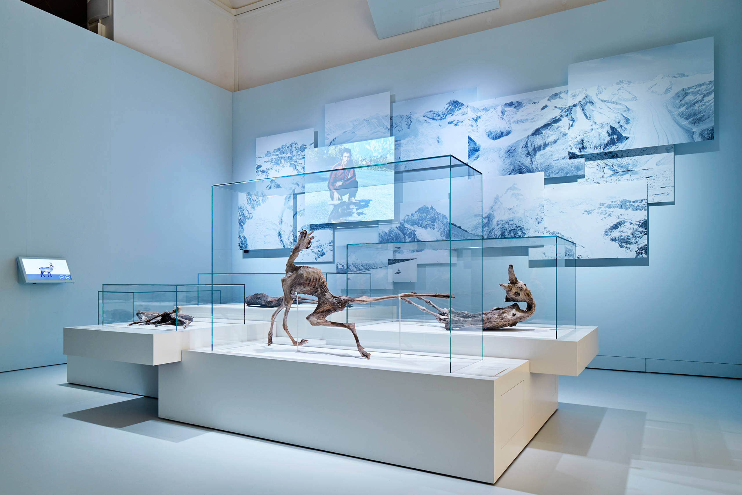 Vitrinen für hochempfindliche Exponate, Mumienausstellung NHM Basel | © Mark Niedermann Photography